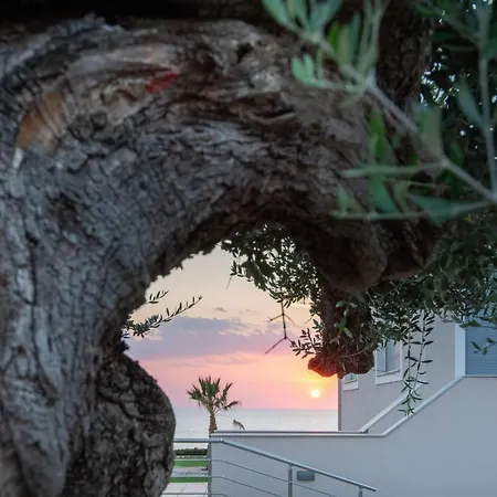 Mantis Seaside 필리아트라