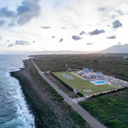 Mantis Seaside * 필리아트라